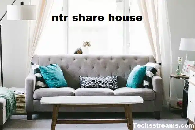 Ntr Share House: Its Origins, Themes, Characters, and Much More