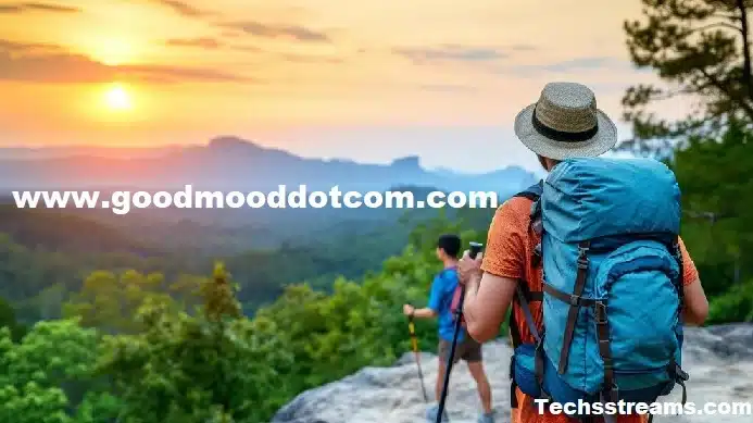 Www.Goodmooddotcom.Com: Its Features and Content to the Benefits